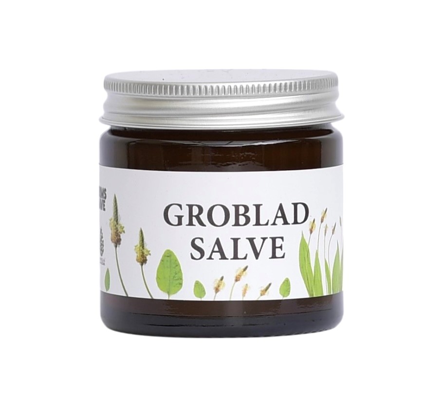 Økologisk grobladsalve 60 ml fra Grims Have