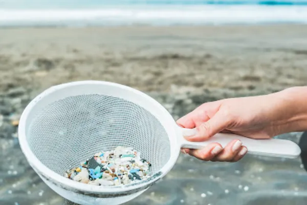 Plast og mikroplast – en skjult trussel